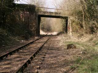 bridges.jpg